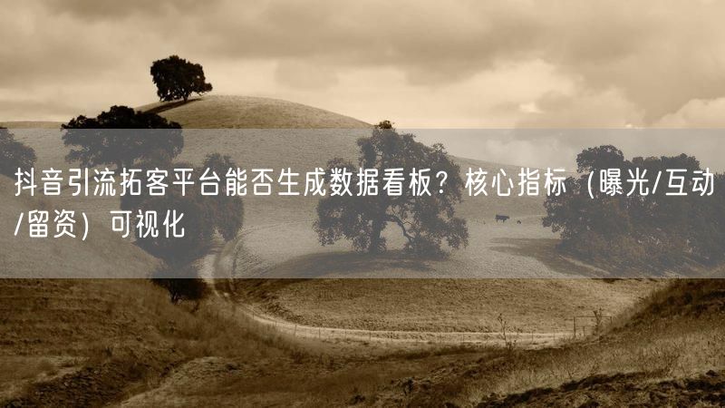 抖音引流拓客平台能否生成数据看板？核心指标（曝光/互动/留资）可视化