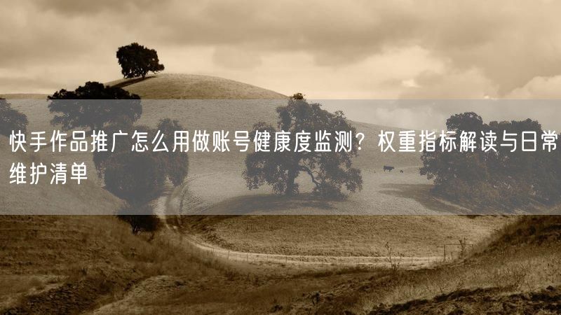快手作品推广怎么用做账号健康度监测？权重指标解读与日常维护清单