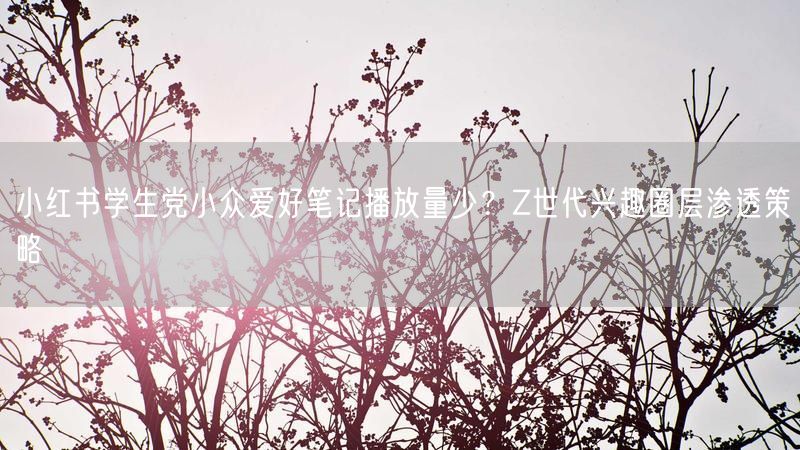 小红书学生党小众爱好笔记播放量少？Z世代兴趣圈层渗透策略
