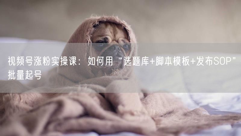 视频号涨粉实操课：如何用“选题库+脚本模板+发布SOP”批量