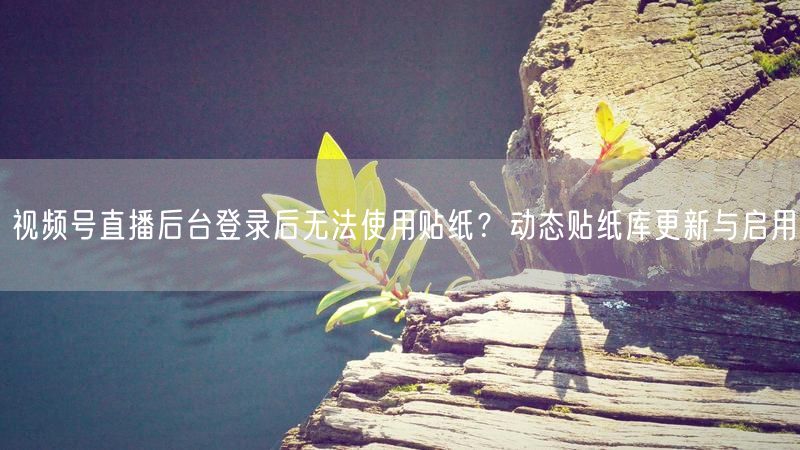 视频号直播后台登录后无法使用贴纸？动态贴纸库更新与启用