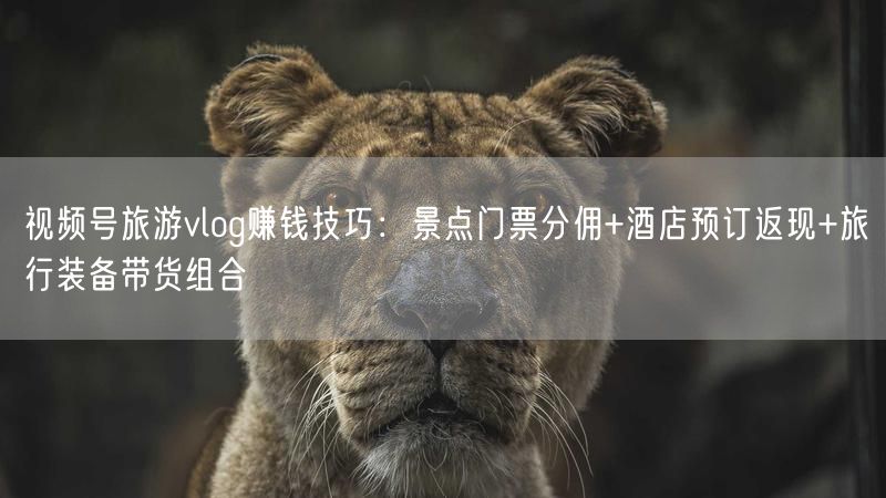 视频号旅游vlog赚钱技巧：景点门票分佣+酒店预订返现+旅行装备带货组合
