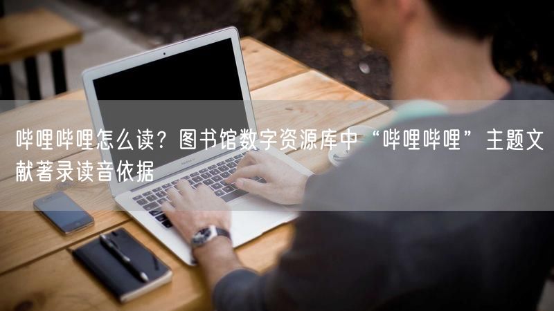 哔哩哔哩怎么读？图书馆数字资源库中“哔哩哔哩”主题文献著录读音依据