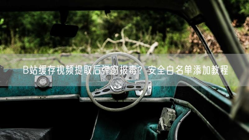 B站缓存视频提取后弹窗报毒？安全白名单添加教程