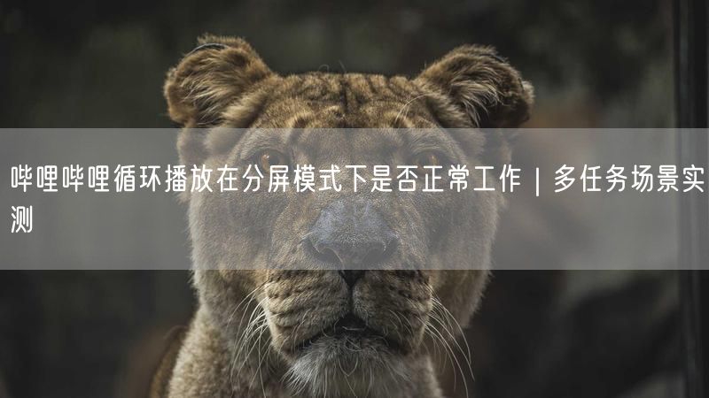 哔哩哔哩循环播放在分屏模式下是否正常工作｜多任务场景实测