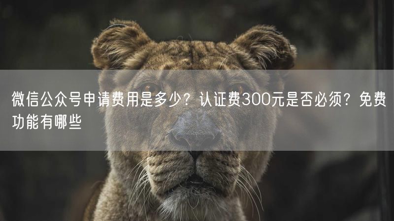 微信公众号申请费用是多少？认证费300元是否必须？免费功能有哪些