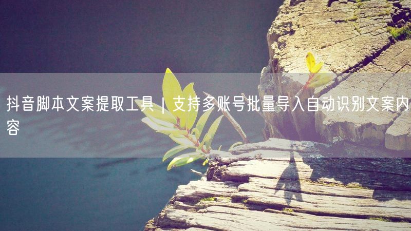 抖音脚本文案提取工具｜支持多账号批量导入自动识别文案内容