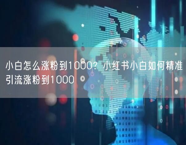 小白怎么涨粉到1000？小红书小白如何精准引流涨粉到1000