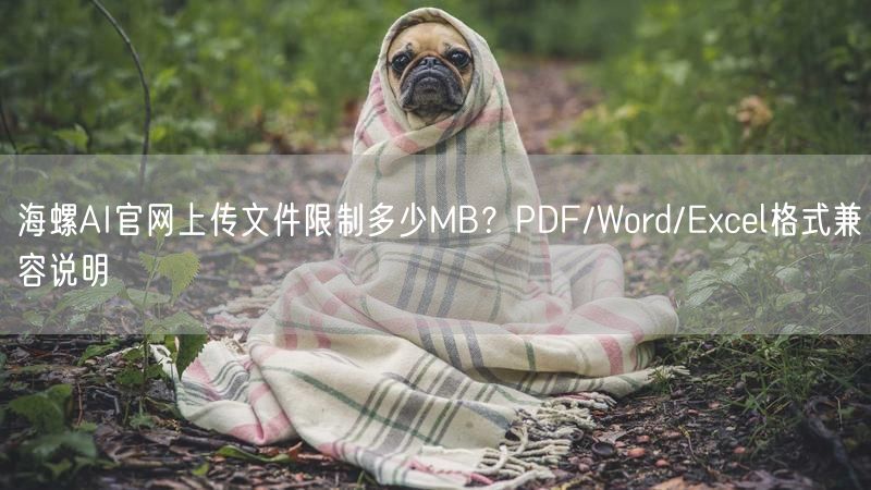海螺AI官网上传文件限制多少MB？PDF/Word/Exce