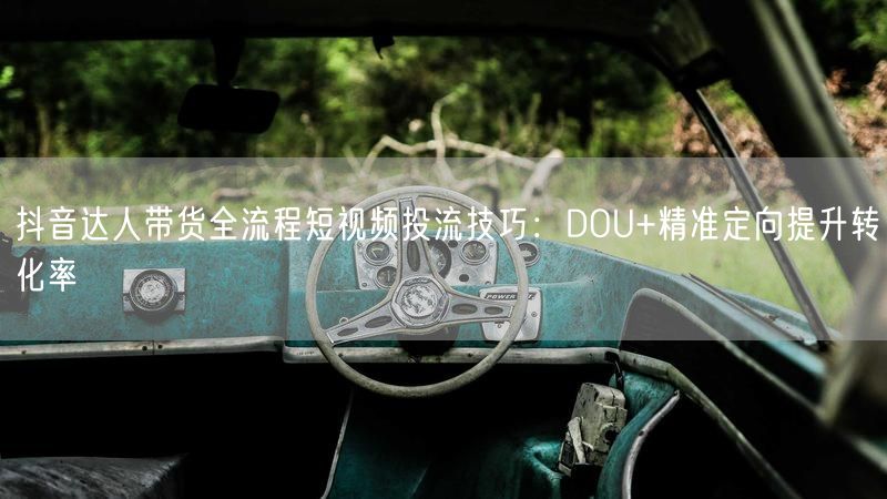抖音达人带货全流程短视频投流技巧：DOU+精准定向提升转化率