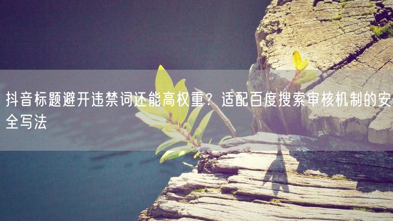 抖音标题避开违禁词还能高权重？适配百度搜索审核机制的安全写法