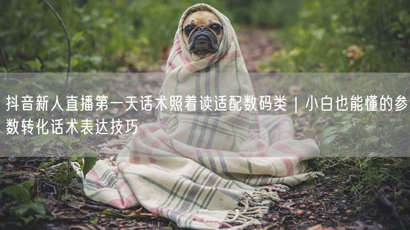 抖音新人直播第一天话术照着读适配数码类｜小白也能懂的参数转化