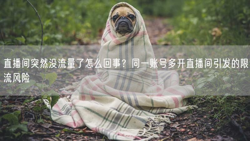 直播间突然没流量了怎么回事？同一账号多开直播间引发的限流风险