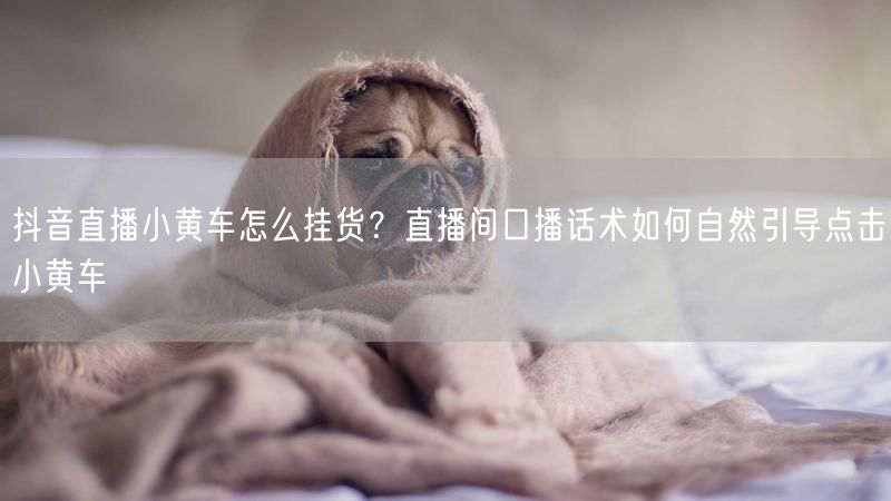 抖音直播小黄车怎么挂货？直播间口播话术如何自然引导点击小黄车