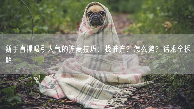新手直播吸引人气的连麦技巧：找谁连？怎么邀？话术全拆解