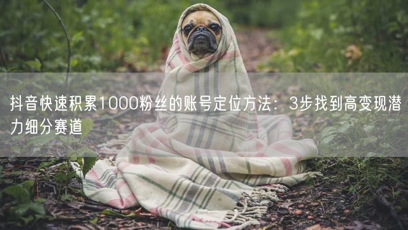 抖音快速积累1000粉丝的账号定位方法：3步找到高变现潜力细