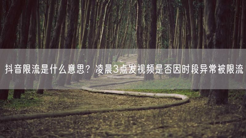 抖音限流是什么意思？凌晨3点发视频是否因时段异常被限流