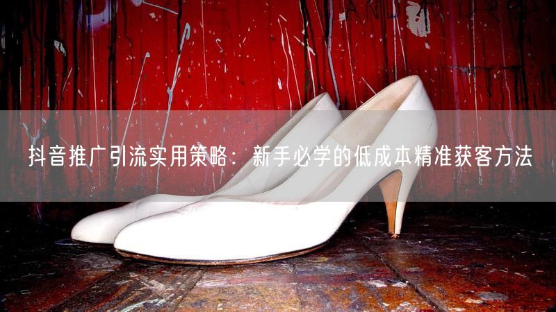 抖音推广引流实用策略：新手必学的低成本精准获客方法