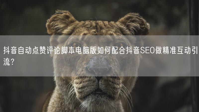 抖音自动点赞评论脚本电脑版如何配合抖音SEO做精准互动引流？