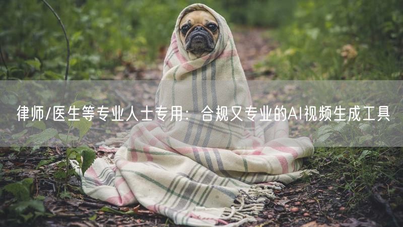 律师/医生等专业人士专用：合规又专业的AI视频生成工具