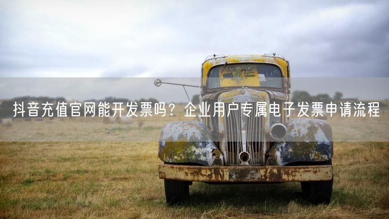 抖音充值官网能开发票吗？企业用户专属电子发票申请流程