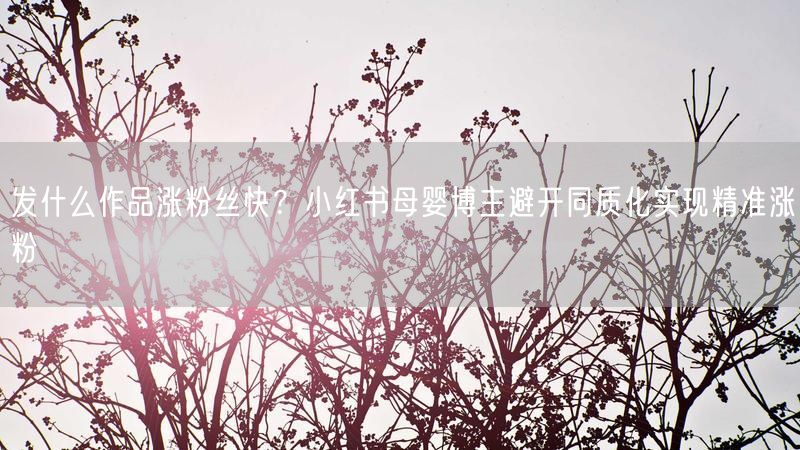 发什么作品涨粉丝快？小红书母婴博主避开同质化实现精准涨粉