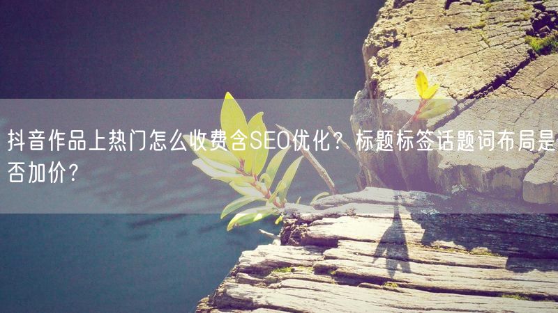 抖音作品上热门怎么收费含SEO优化？标题标签话题词布局是否加