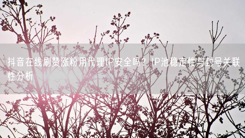 抖音在线刷赞涨粉用代理IP安全吗？IP池稳定性与封号关联性分