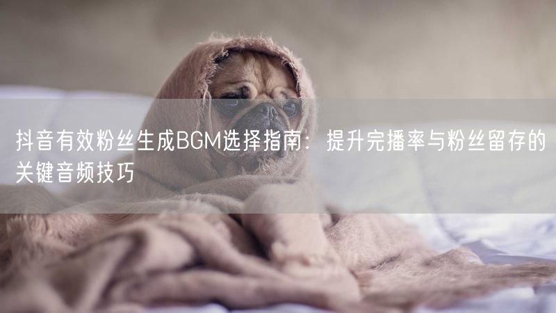 抖音有效粉丝生成BGM选择指南：提升完播率与粉丝留存的关键音