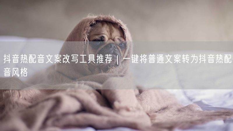 抖音热配音文案改写工具推荐｜一键将普通文案转为抖音热配音风格