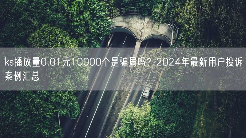 ks播放量0.01元10000个是骗局吗？2024年最新用户