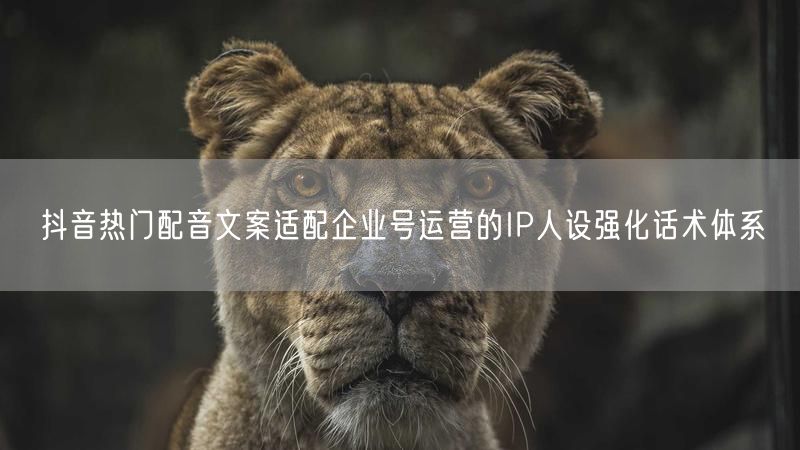 抖音热门配音文案适配企业号运营的IP人设强化话术体系
