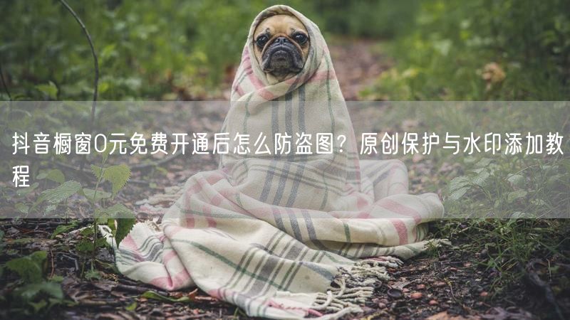 抖音橱窗0元免费开通后怎么防盗图？原创保护与水印添加教程