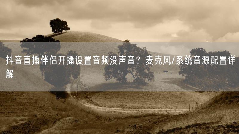 抖音直播伴侣开播设置音频没声音?麦克风/系统音源配置详解