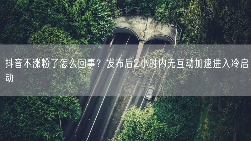 抖音不涨粉了怎么回事？发布后2小时内无互动加速进入冷启动