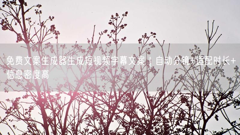 免费文案生成器生成短视频字幕文案|自动分镜+适配时长+信息密