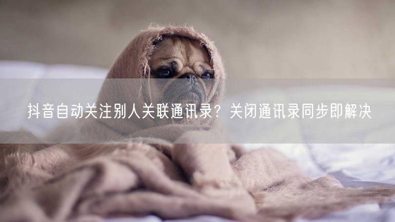 抖音自动关注别人关联通讯录？关闭通讯录同步即解决