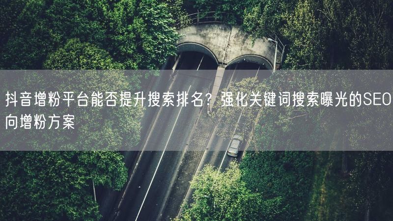 抖音增粉平台能否提升搜索排名？强化关键词搜索曝光的SEO向增