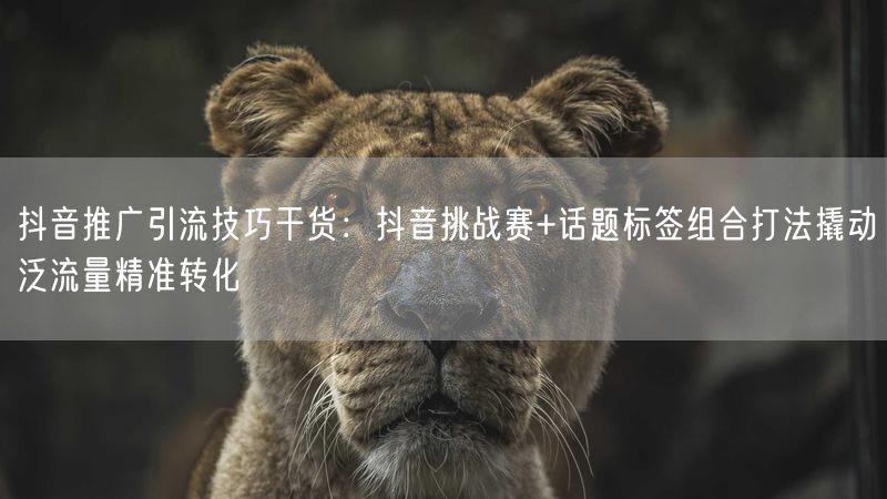 抖音推广引流技巧干货:抖音挑战赛+话题标签组合打法撬动泛流量